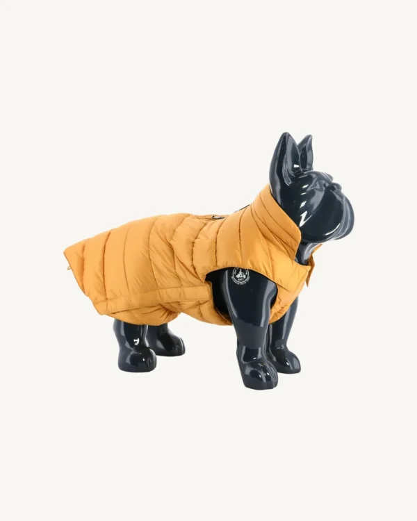 Flash Sale Dog Jacket Mustard Woop Down Jackets For Dogs