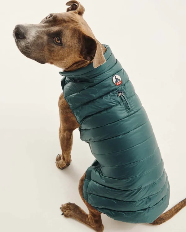 Cheap Down Jacket For Dogs Dark Green Woop Down Jackets For Dogs