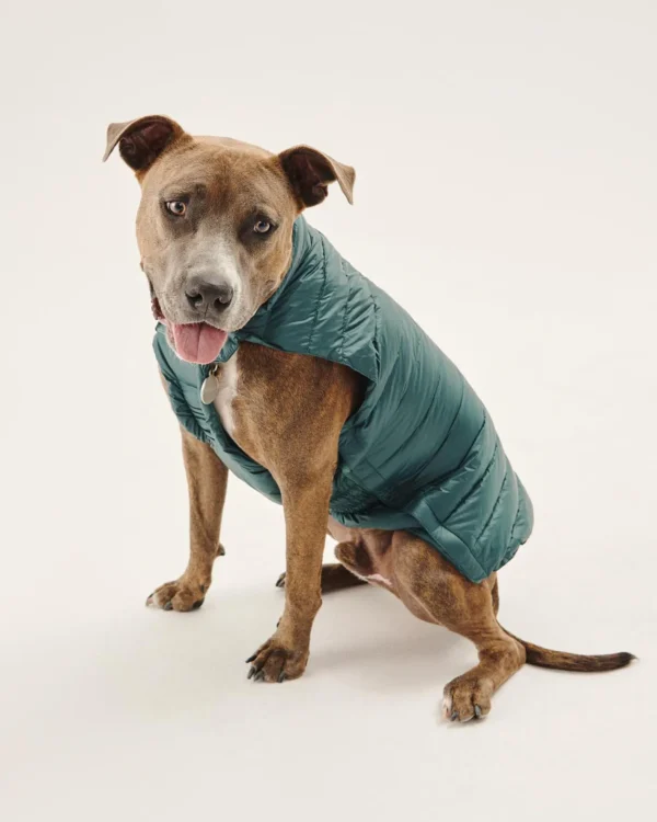 Cheap Down Jacket For Dogs Dark Green Woop Down Jackets For Dogs