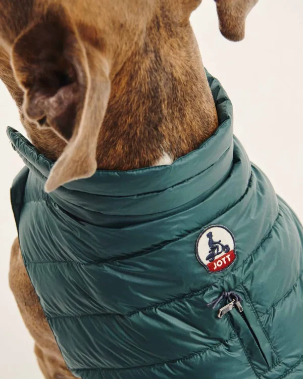 Cheap Down Jacket For Dogs Dark Green Woop Down Jackets For Dogs