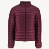 Shop Eggplant Mat Light Padded Jacket Men Down Jackets And Jackets