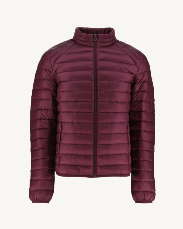 Shop Eggplant Mat Light Padded Jacket Men Down Jackets And Jackets