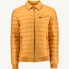 Store Mustard Down Jacket James Men Down Jackets And Jackets