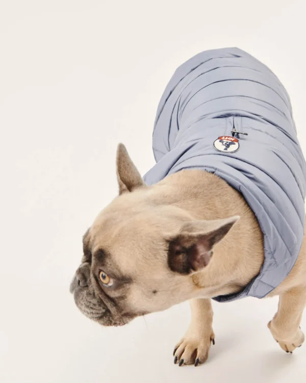 Best Washed Blue Dog Jacket Woop Down Jackets For Dogs