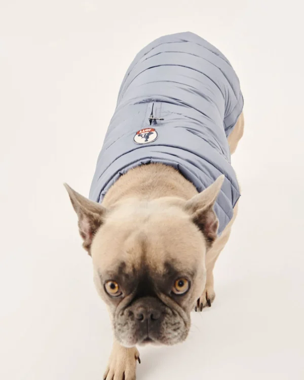 Best Washed Blue Dog Jacket Woop Down Jackets For Dogs