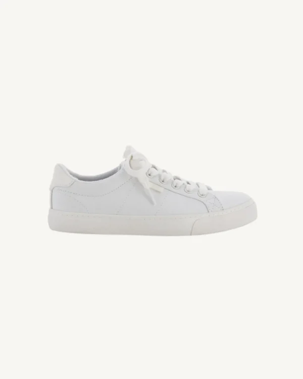 Discount White Horizon W Canvas Trainers Shoes